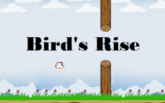 Bird's Rise