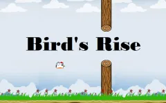 Bird's Rise